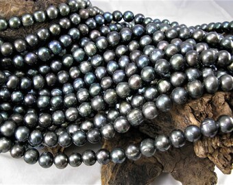 Half Drilled Loose Pearls,Genuine Freshwater Pearl Beads,High Luster Cultured Black Pearl Beads PB080 5-6mm Natural Black Round Pearls