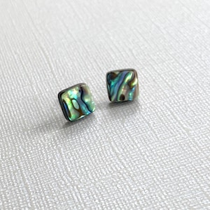 May include: A pair of square-shaped earrings with iridescent abalone shell inlays. The earrings have a silver-toned metal setting.