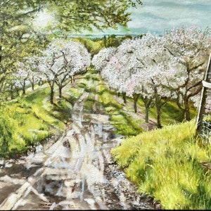 May include: A painting of a dirt road leading through a field of blooming white trees. The trees are in full bloom and the road is muddy. There is a wooden fence with a wire mesh panel on the right side of the image.