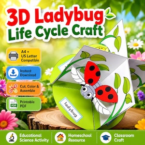 3D Marienkäfer Lebenszyklus Handwerk | Wissenswertes zum Thema ""Kindergarten"""