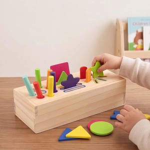 Wooden Montessori Shape Sorter Toy, Color Matching Sorting Box, Toddler Fine Motor Skills Toy, Preschool Learning Gift