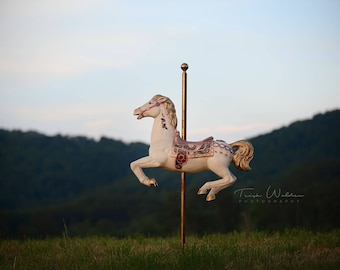 Carousel Horse Digital Background