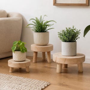 Può includere: Tre supporti rotondi per piante in legno chiaro con gambe corte e robuste, ognuno dei quali sostiene una pianta in vaso. I supporti variano in altezza e diametro, mostrando una finitura naturale delle venature del legno e un design semplice.