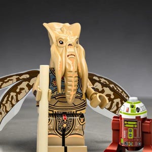 May include: A tan plastic minifigure with a large, textured head featuring long, drooping appendages, wearing a tan and blue patterned torso and leg piece with wing-like attachments. Beside it stands a small, cylindrical red and white droid.