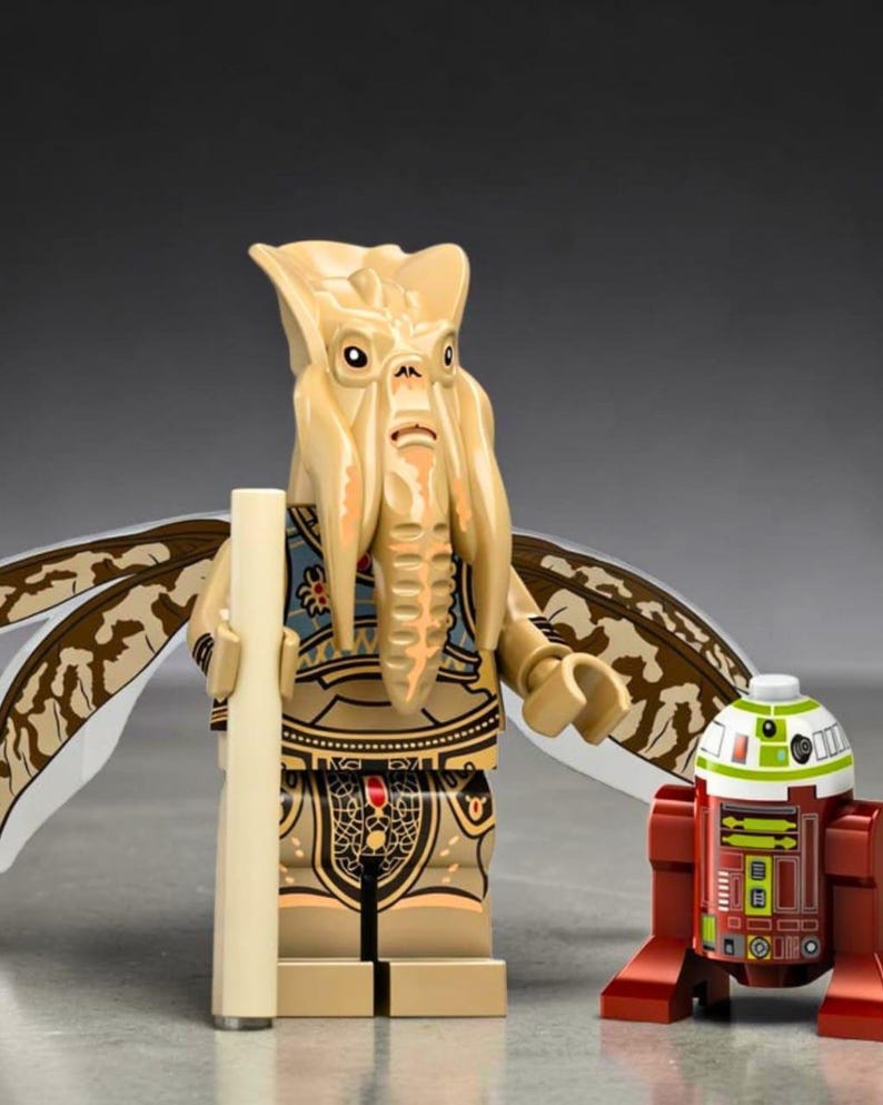 May include: A tan plastic minifigure with a large, textured head featuring long, drooping appendages, wearing a tan and blue patterned torso and leg piece with wing-like attachments. Beside it stands a small, cylindrical red and white droid.