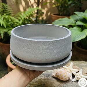 May include: A round, light gray concrete planter with a smooth, matte finish and a matching circular saucer base. The planter features a wide, open top and a thick, sturdy wall construction, presenting a clean, neutral aesthetic for plant display.