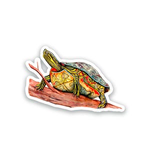 May include: A watercolour illustration of a turtle with a patterned shell and yellow and red markings on its skin, perched on a brown branch. The turtle has a long neck, dark eyes, and textured limbs, depicted with a white border outline.