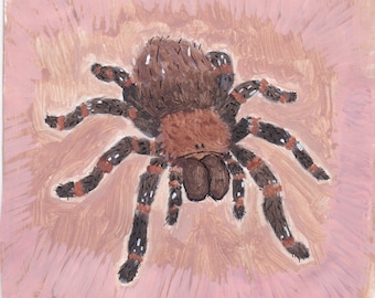 Tarantula Art Print A5 | Gentle Realism| Spider Wall Art | Arachnid Lover Gift | Wildlife Decor