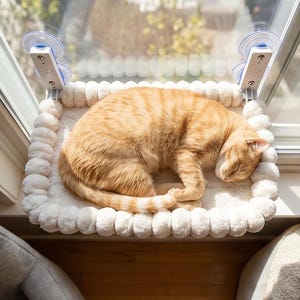 Op de afbeelding: Een rechthoekige kattenhangmat voor aan het raam met een zacht, crèmekleurig pluche oppervlak en een opstaande rand in pomponstijl. Het platform is aan het glas bevestigd met twee witte kunststof beugels en doorzichtige zuignappen.