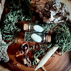 Real Silkworm Cocoon w/ Moss in glass vial, Oddity, Curiousity, Natural History, Entomology, printer tray, curio display, altar decoration