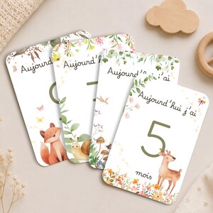 Può includere: Quattro carte traguardo rettangolari con angoli arrotondati, ciascuna con il testo 'Aujourd'hui j'ai' e un grande numero. Le carte sono decorate con illustrazioni ad acquerello di una volpe, una lumaca, funghi e un cervo, circondate da motivi floreali.