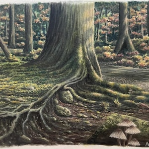 May include: A coloured pencil drawing of a forest scene featuring a large tree trunk with prominent roots extending across the ground. The forest floor is covered in moss, rocks, and fallen leaves, with a small cluster of mushrooms in the foreground.