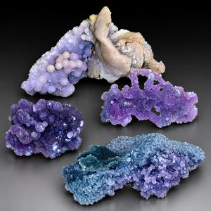 May include: Four distinct mineral specimens featuring botryoidal formations. One piece is pale lavender with a beige section, one is deep purple, one is bright violet, and one displays a gradient from deep blue to light purple crystalline textures.