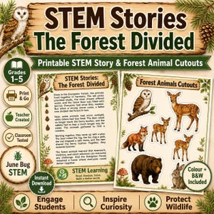 Könnte beinhalten: Ein druckbares MINT-Lehrmaterial mit dem Titel STEM Stories: The Forest Divided, bestehend aus einer Geschichtenseite und einem Bogen mit Waldtier-Ausschnitten wie Eule, Reh, Fuchs und Bär, verziert mit Tannenzweigen und Kiefernzapfen.