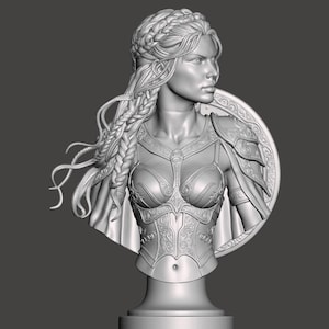 May include: A monochromatic gray bust sculpture of a warrior figure with braided hair, wearing ornate chest armor with intricate scrollwork patterns. The figure is positioned in front of a circular shield with decorative border detailing and a cape.