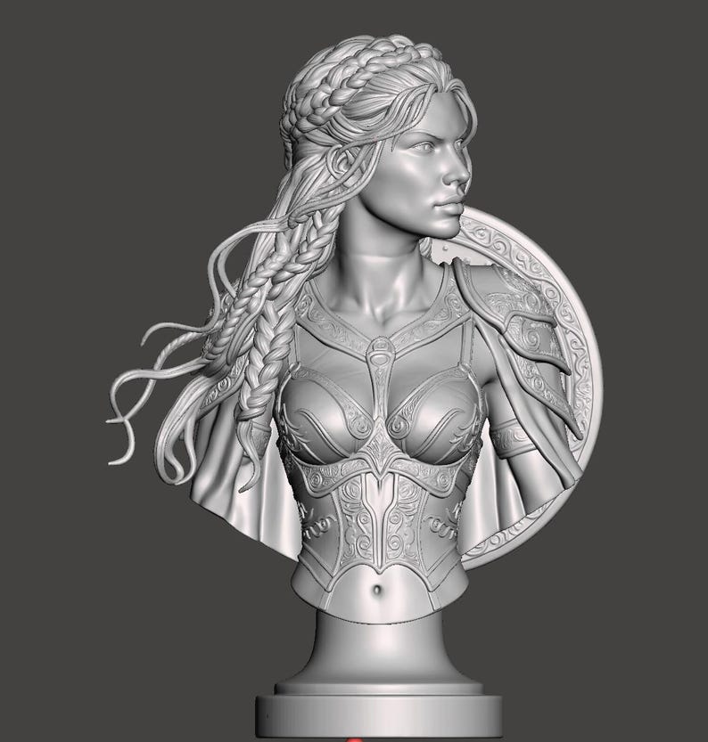 May include: A monochromatic gray bust sculpture of a warrior figure with braided hair, wearing ornate chest armor with intricate scrollwork patterns. The figure is positioned in front of a circular shield with decorative border detailing and a cape.