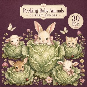 30 Peeking Baby Animals Clipart, Cabbage Garden First Birthday Watercolor PNGs, Digital Download