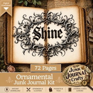May include: An open book with aged, yellowed pages featuring a black ornate filigree frame surrounding the word Shine in a gothic font. The kit includes 72 pages, ephemera, clusters, pockets, and tags, labeled as a Junk Journal Crafty kit.