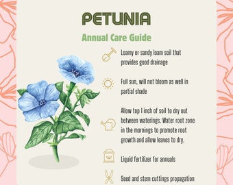 Guide d'entretien du pétunia, tutoriels d'entretien du pétunia, guide de plantation du pétunia, instructions faciles pour l'entretien du pétunia, tutoriel d'entretien annuel du pétunia