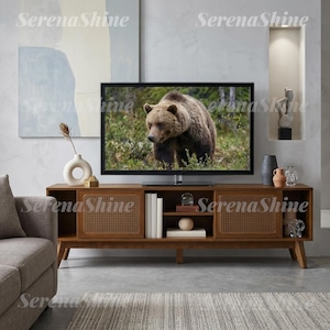 May include: A long wooden media console featuring two cabinet doors with woven cane panels, open shelving in the center, and tapered legs. The console holds a flat-screen television displaying a brown bear in a forest setting.