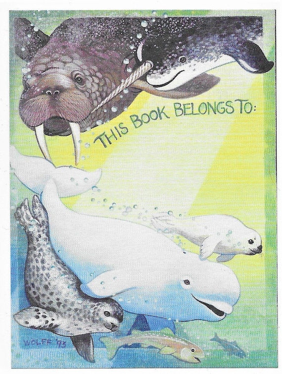 baby beluga book video