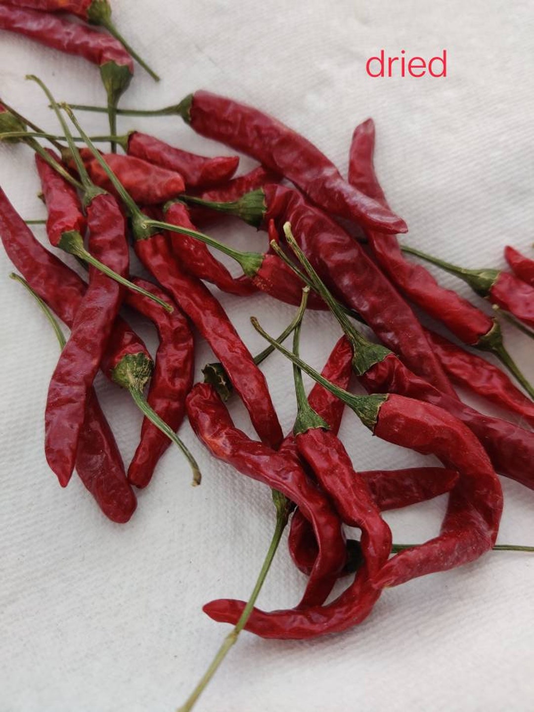Chile De Arbol Seeds 15 Seeds Etsy