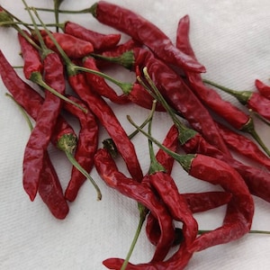 Chile de Arbol seeds ~12 seeds
