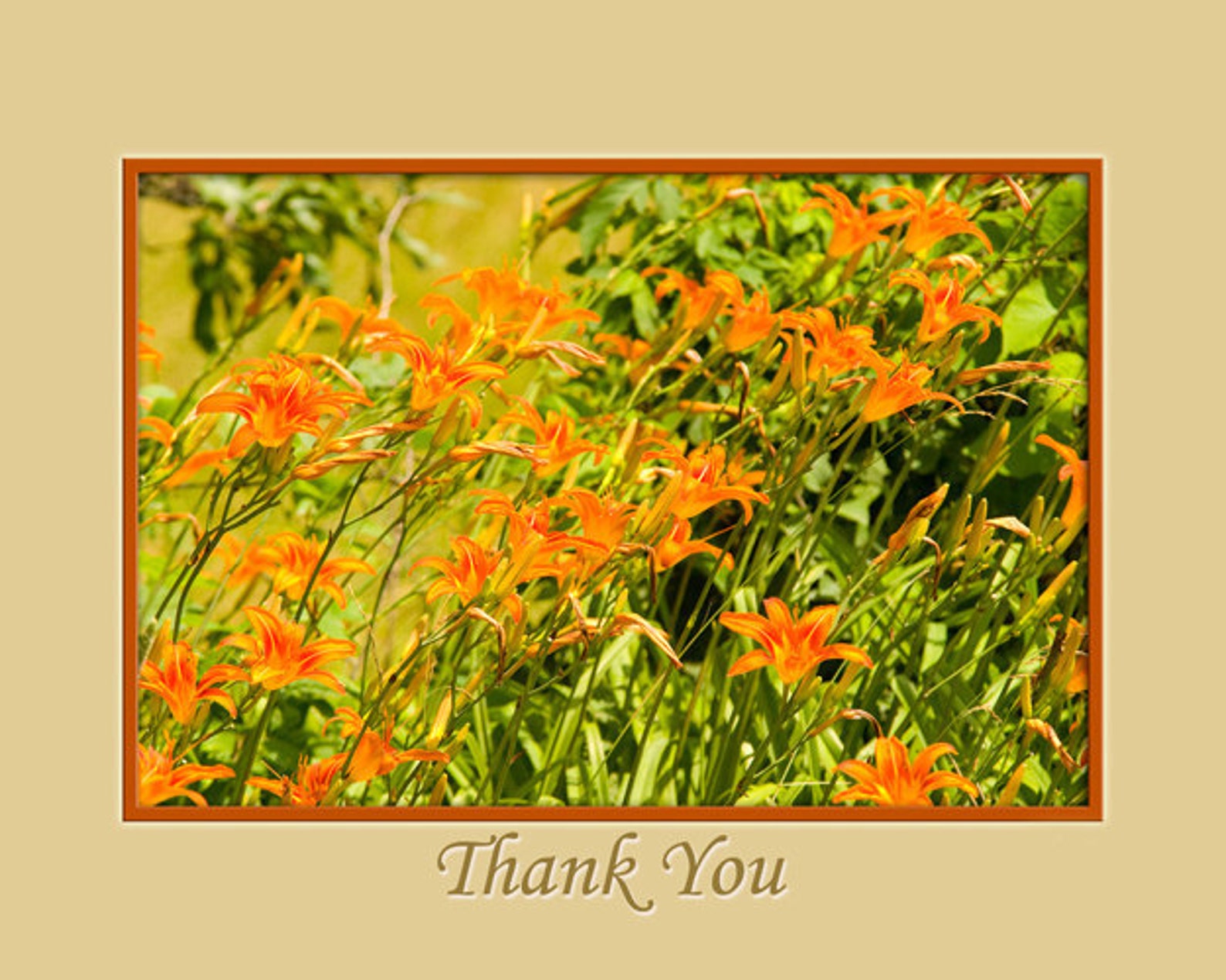 Orange Flowers Lily Thank You Note card Gift Etsy