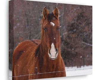 Toile photo cheval Papier peint pour galerie d'art Paysage d'hiver