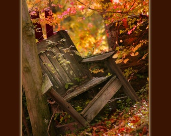 Art mural photo en bois pour chaise abandonnée pour la saison d'automne