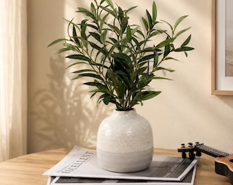 May include: A round ceramic vase with a speckled white top and a solid light gray base, containing a lush arrangement of green olive branches with pointed leaves. The vase rests on a stack of magazines with the word EXCELLENT visible on the cover.