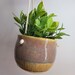 see more listings in the Planters and Vases section