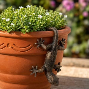 May include: A terracotta plant pot featuring a decorative, textured dark bronze-colored lizard figurine clinging to the outer rim. The pot contains a dense, green leafy plant with small white flowers, and the rim has a subtle embossed line pattern.