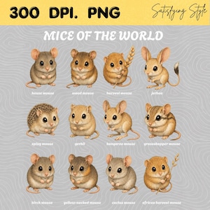 May include: A digital illustration titled MICE OF THE WORLD featuring twelve distinct mouse species including house mouse, wood mouse, harvest mouse, jerboa, spiny mouse, gerbil, kangaroo mouse, grasshopper mouse, birch mouse, yellow-necked mouse, cactus mouse, and african harvest mouse.