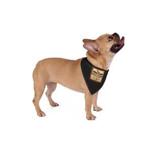 May include: A fawn-colored French Bulldog wearing a black triangular pet bandana. The bandana features a rectangular tan patch with a graphic of a bird, trees, and the text "BACK ROADS & SUNSHINE" printed in dark brown ink on the fabric.