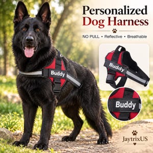 May include: A black German Shepherd dog wearing a red and black personalized dog harness with the name Buddy printed on a reflective strip. The harness features black straps, a buckle, and a handle. Text includes Personalized Dog Harness.