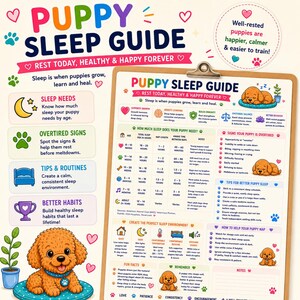 May include: A puppy sleep guide printed on a clipboard, featuring a table detailing sleep needs by age, overtired signs, and tips for a calm environment. The document includes illustrations of a brown puppy, paw prints, and hearts.