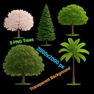 Realistic Tree Clipart PNG Bundle – Pine, Palm, Oak, Maple, Cherry Blossom (Digital Download)