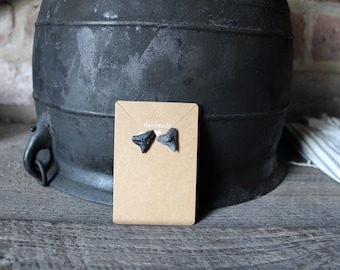 Clous d'oreilles avec dents de requin taureau