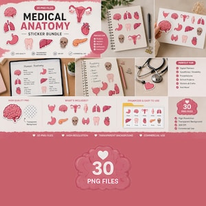 Peut inclure: Un ensemble d'autocollants numériques comprenant 30 illustrations d'anatomie médicale, dont un cerveau, un cœur, des poumons, un estomac, un foie, un crâne et des organes reproducteurs. Les graphiques sont en rose et rouge avec des contours blancs.