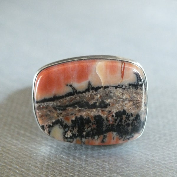 Arizona Scenic Petrified Wood Fossil Agatized Wood Forest Sterling Silver Ring Size 8 Wide Free Sizing James Blanchard