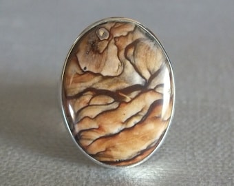 Biggs Canyon Scenic Jasper Deschutes Sterling Silver Ring  James Blanchard Size 7 1/2 Wide Free Sizing