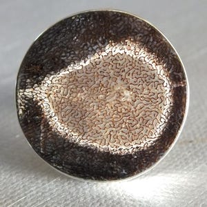 May include: A round, silver-toned ring with a unique design. The ring features a central, textured, light-colored area surrounded by a dark brown, patterned border. The ring's design is eye-catching and artistic.