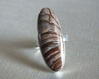 Amazing Blue Biggs Canyon Scenic Jasper Handmade Sterling Silver Ring James Blanchard Size 7.5 Free Sizing