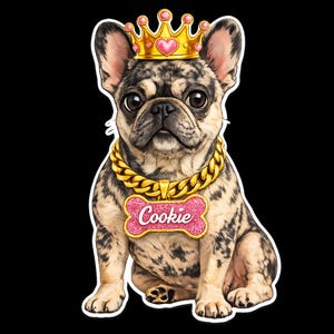 Mini Pack Cookie Frienchie - 6 stikers