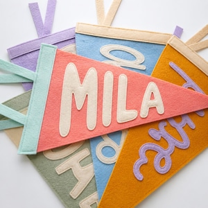 May include: A collection of triangular felt pennants in various colors including coral, blue, mustard yellow, lavender, and sage green. Each pennant features a felted name or word appliqued in a contrasting color, with a hanging loop at the top.