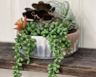 Concrete planters, vintage plant containers, sustainable plants, handmade planter, concrete container, planter, concrete vessel