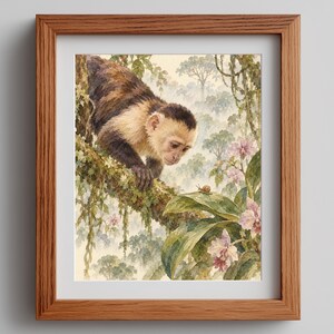 Op de afbeelding: Een ingelijste aquarelprint met een kapucijnaap met bruine en witte vacht op een bemoste boomtak, kijkend naar een kleine slak op een groen blad. De scène bevat lichtroze orchideeën en een achtergrond van een mistig bos.