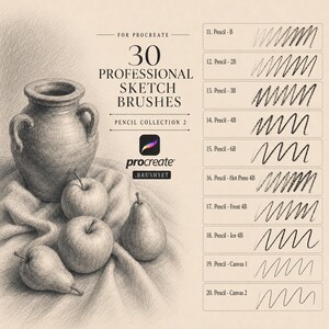 Könnte beinhalten: Eine digitale Produktanzeige für 30 Professional Sketch Brushes Pencil Collection 2 für Procreate. Das Bild zeigt eine Zeichnung im Graphitstil mit einer Vase, zwei Äpfeln und zwei Birnen auf Stoff sowie eine Liste von Pinselstrichen von 11 bis 20.