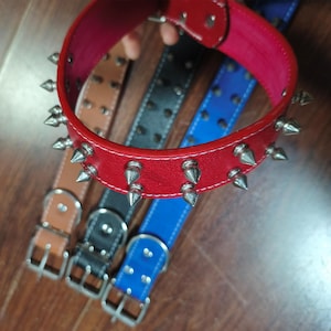 May include: A collection of four leather collars in red, tan, black, and blue. Each collar features two rows of silver-toned metal spikes, a metal buckle, and a D-ring. The red collar is shown in the foreground with a bright pink interior lining.